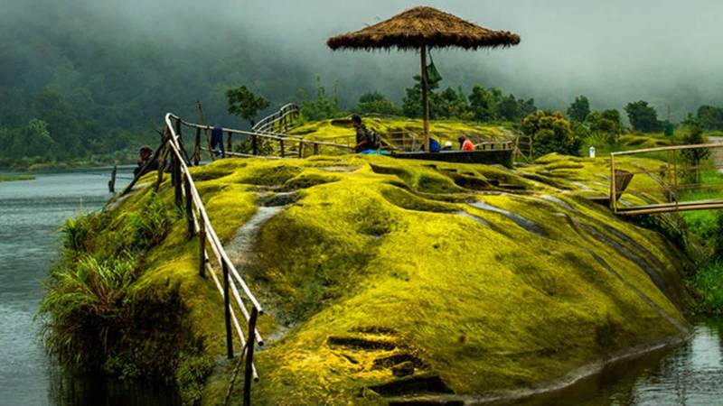 Assam Tour Packages For 7Night And 8 Day 